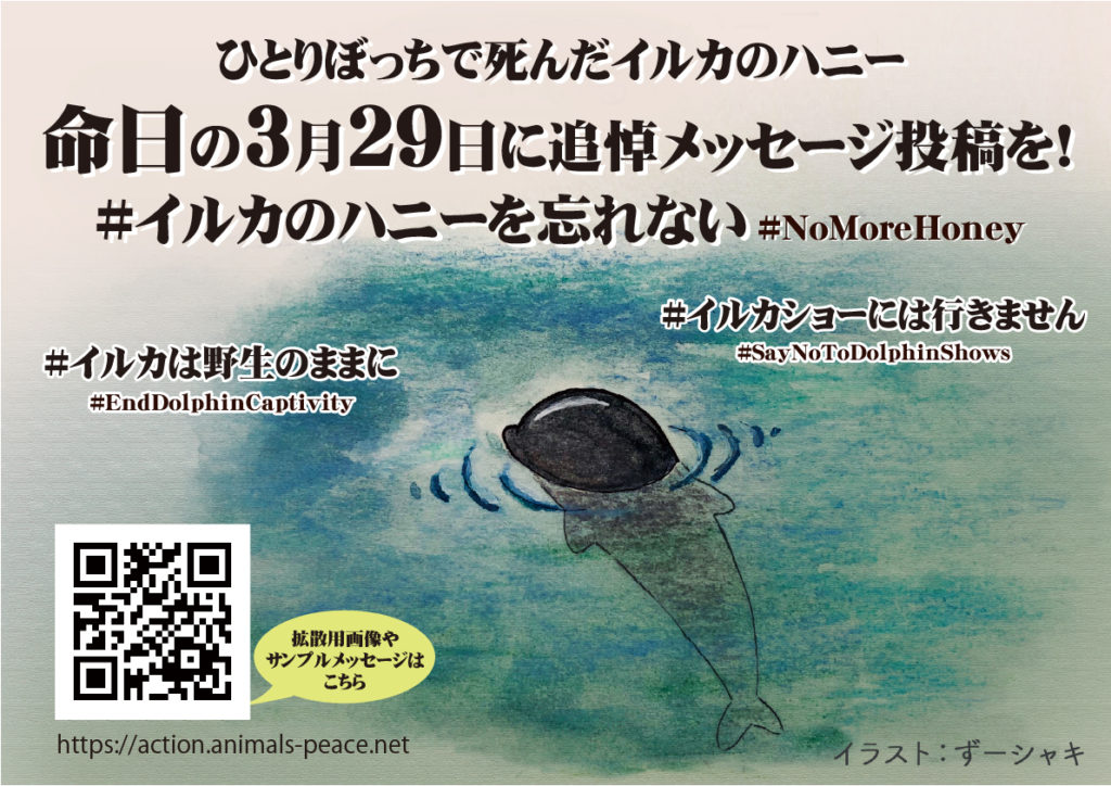 ハニー追悼アクション イルカのハニーを忘れない イルカショーには行きません Nomorehoney